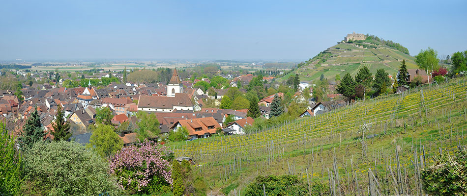 Blick auf Staufen im Breisgau
